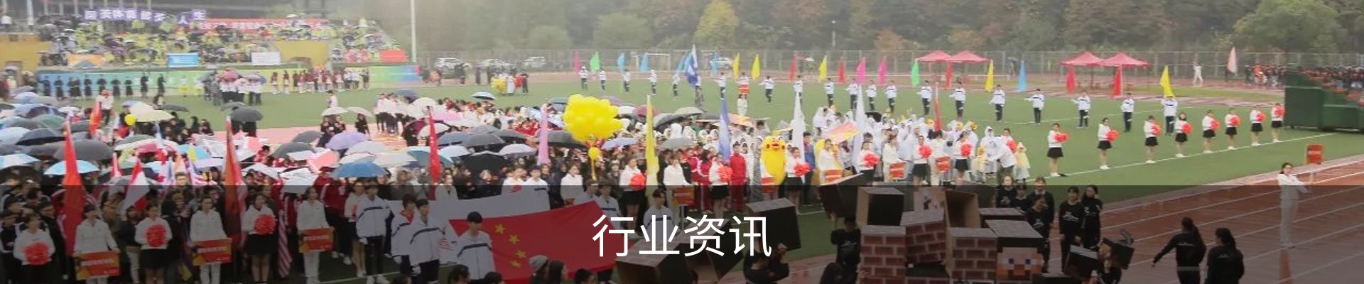 我们的服务
